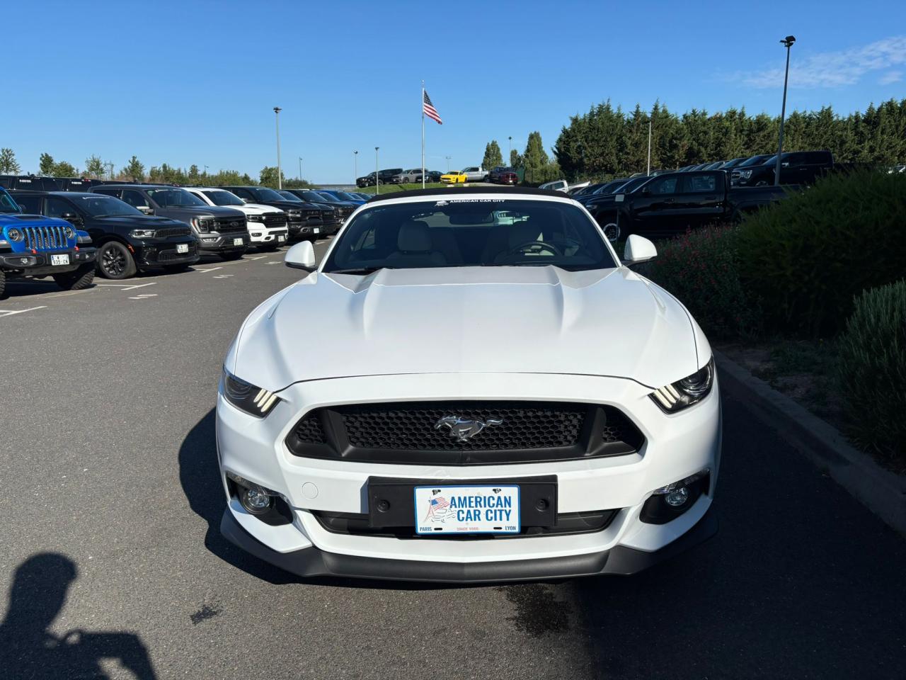 FORD MUSTANG GT CABRIOLET V8 5.0L BVA