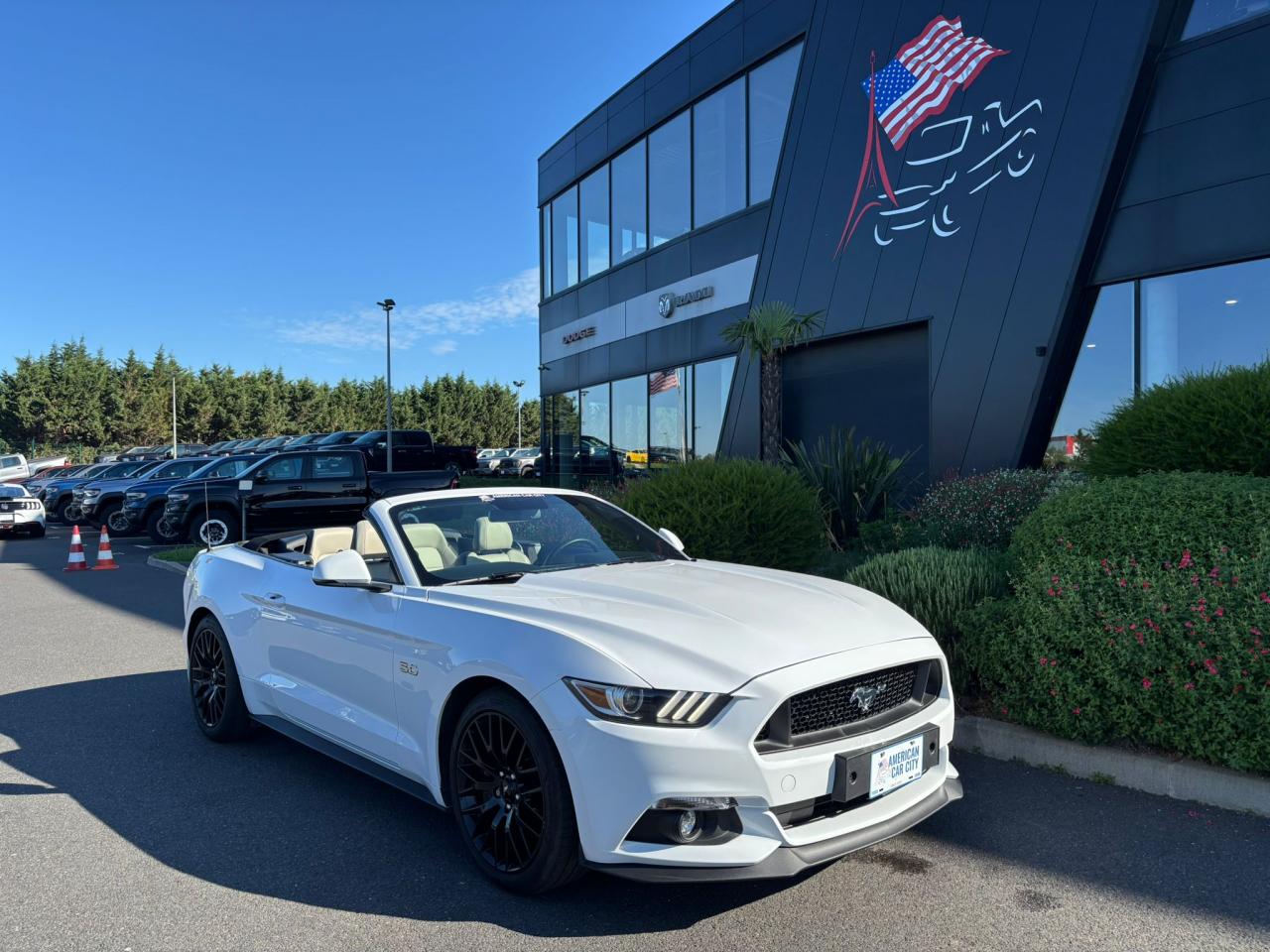 FORD MUSTANG GT CABRIOLET V8 5.0L BVA