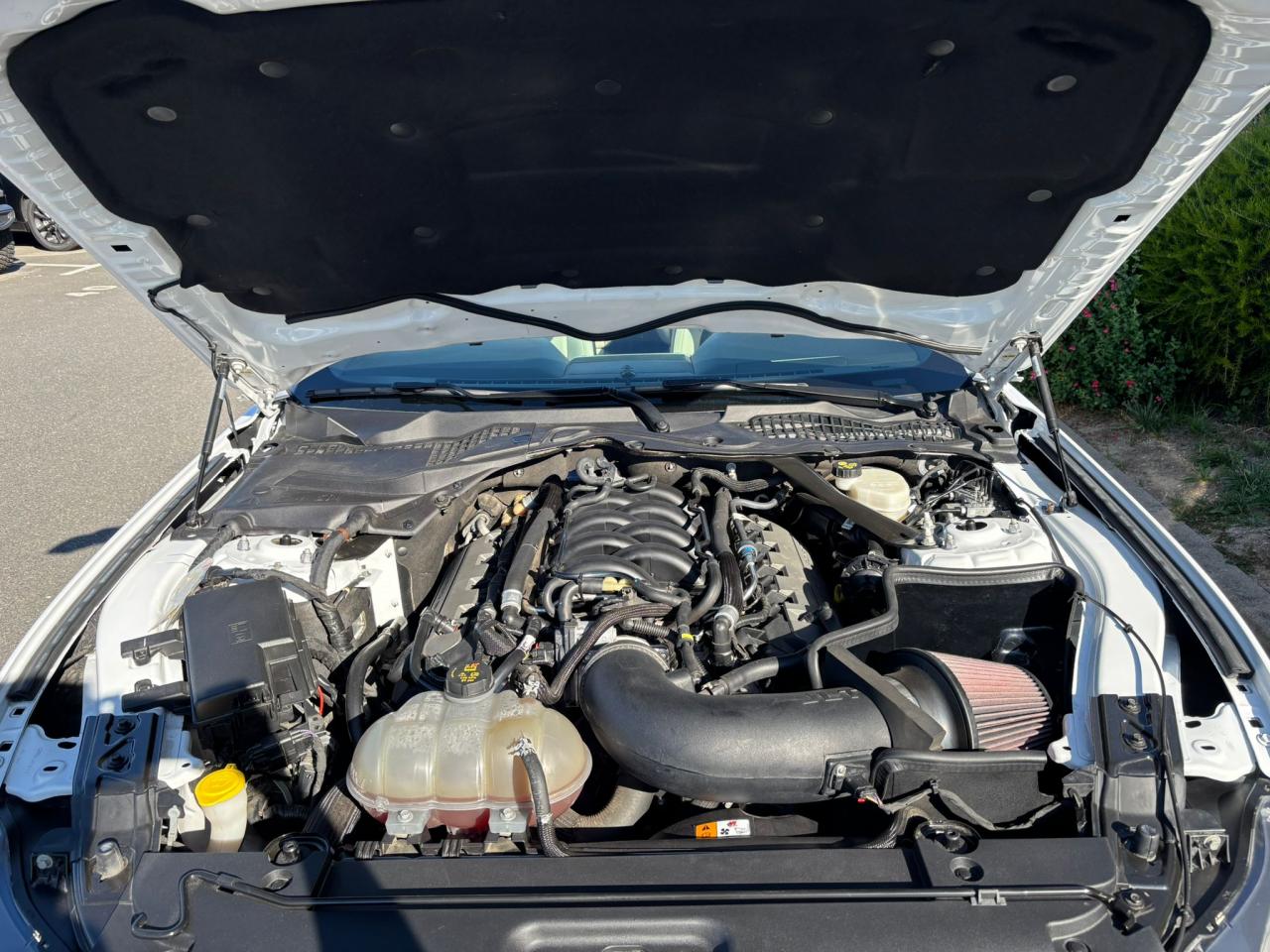 FORD MUSTANG GT CABRIOLET V8 5.0L BVA