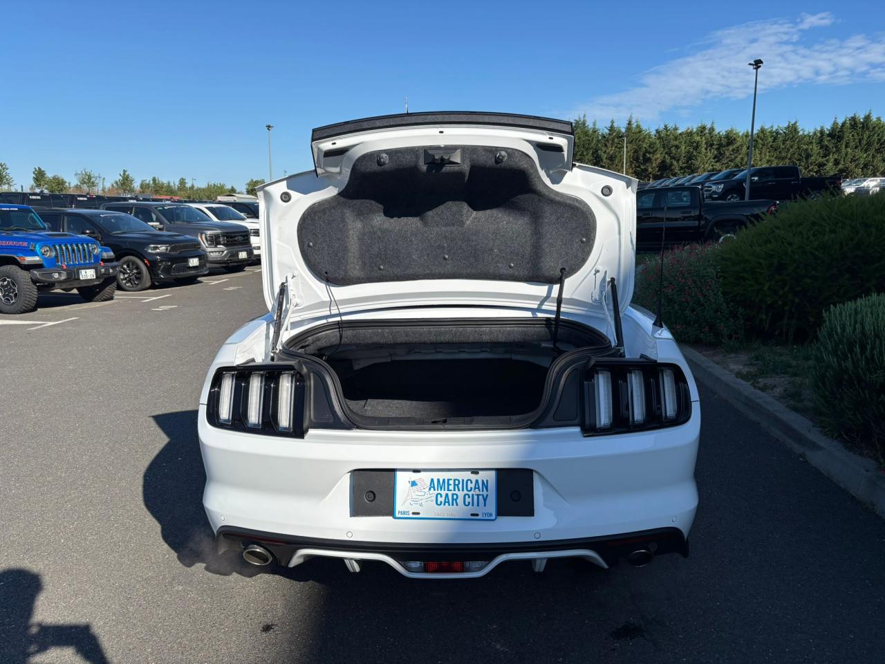 FORD MUSTANG GT CABRIOLET V8 5.0L BVA