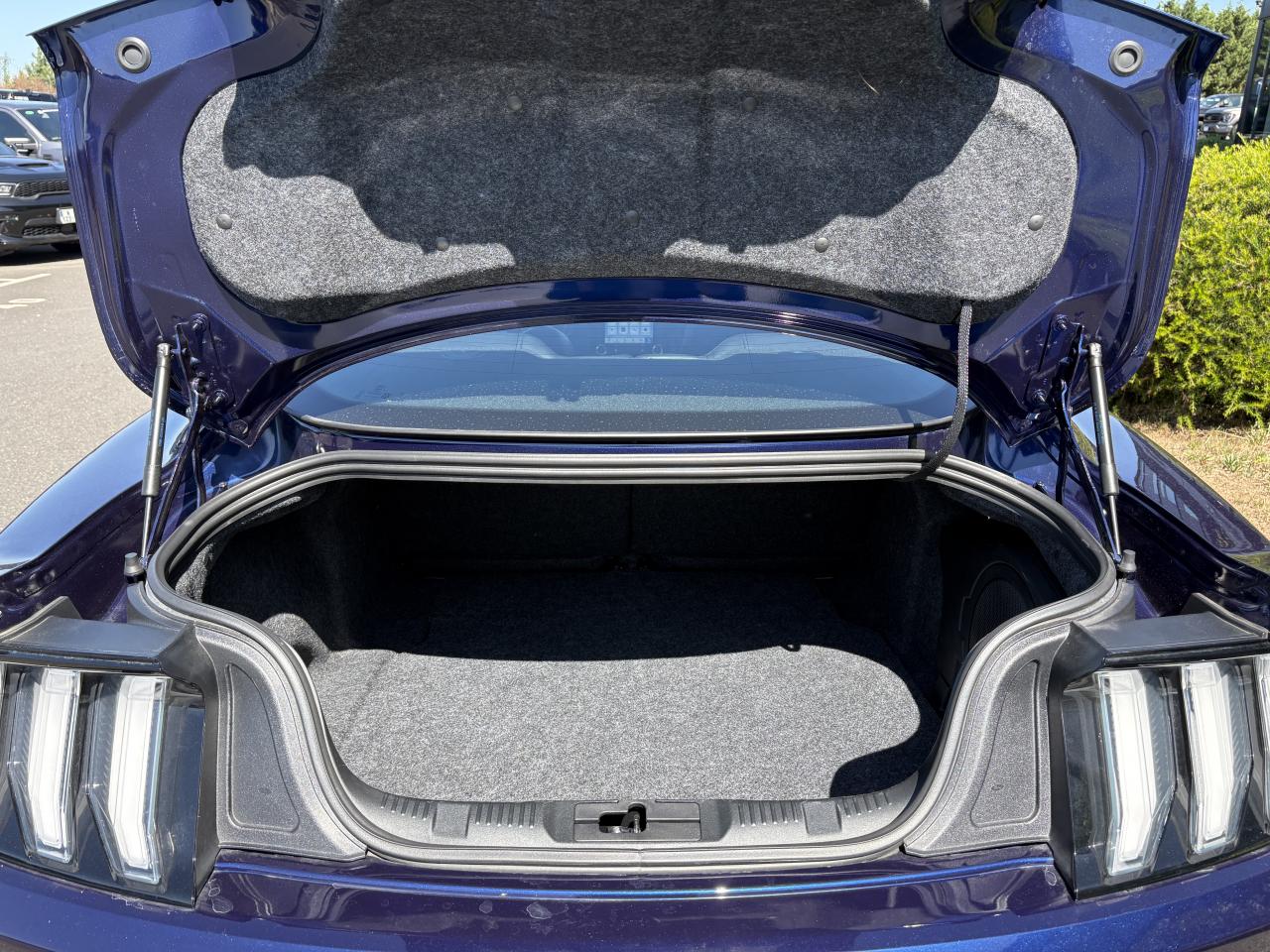 FORD MUSTANG GT FASTBACK 5.0L V8 450ch BVA10 - MALUS PAYE