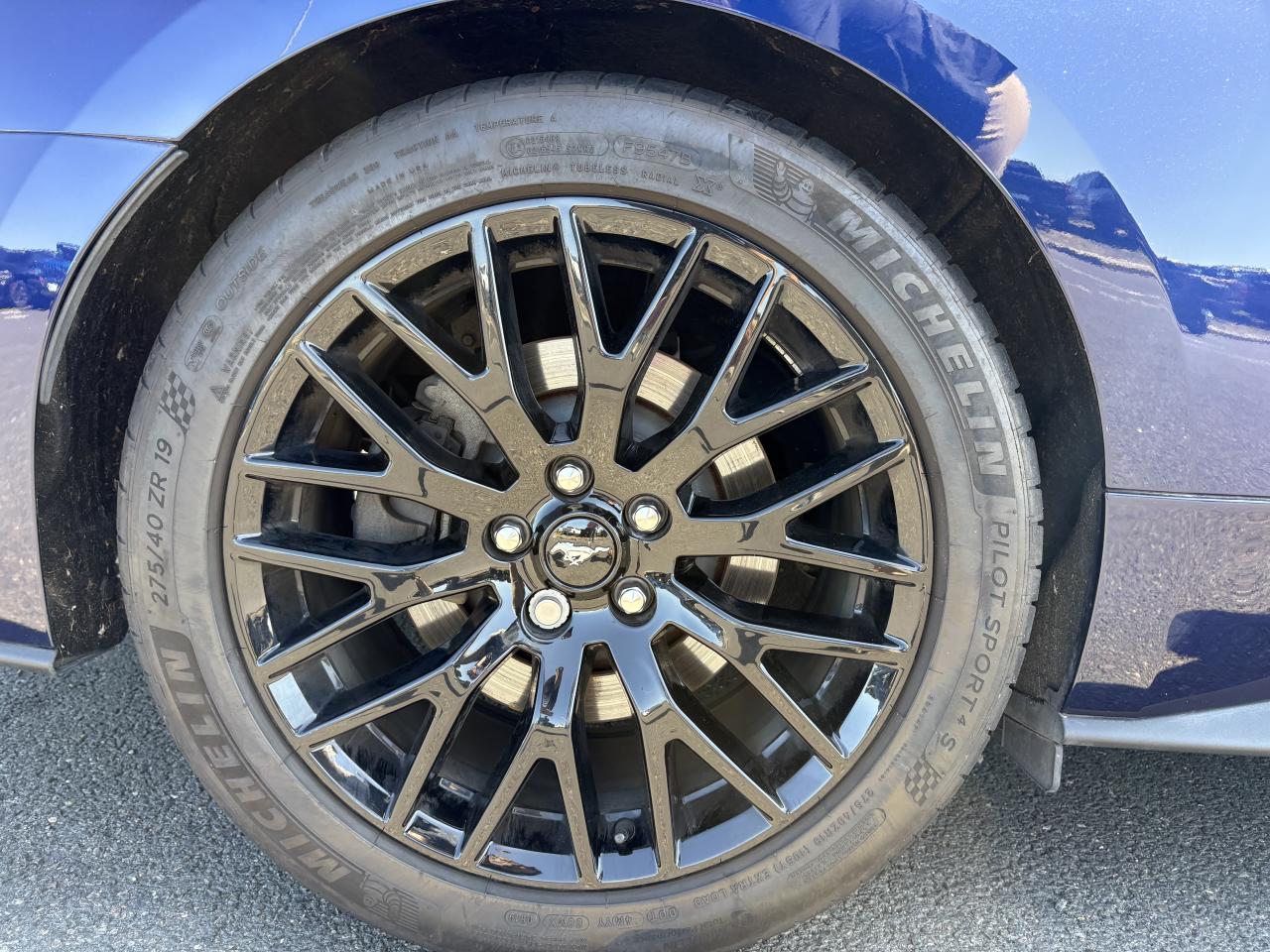 FORD MUSTANG GT FASTBACK 5.0L V8 450ch BVA10 - MALUS PAYE