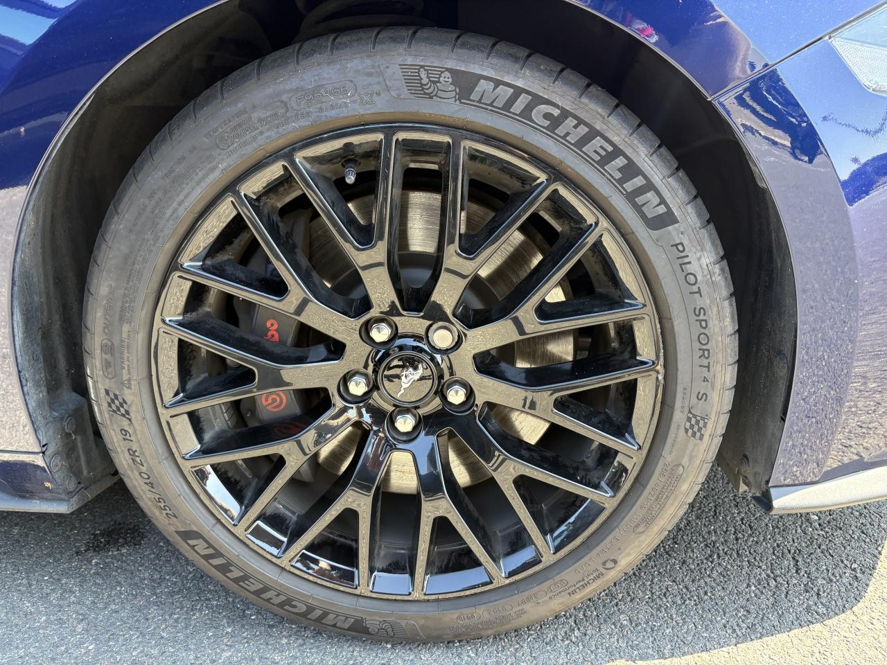 FORD MUSTANG GT FASTBACK 5.0L V8 450ch BVA10 - MALUS PAYE