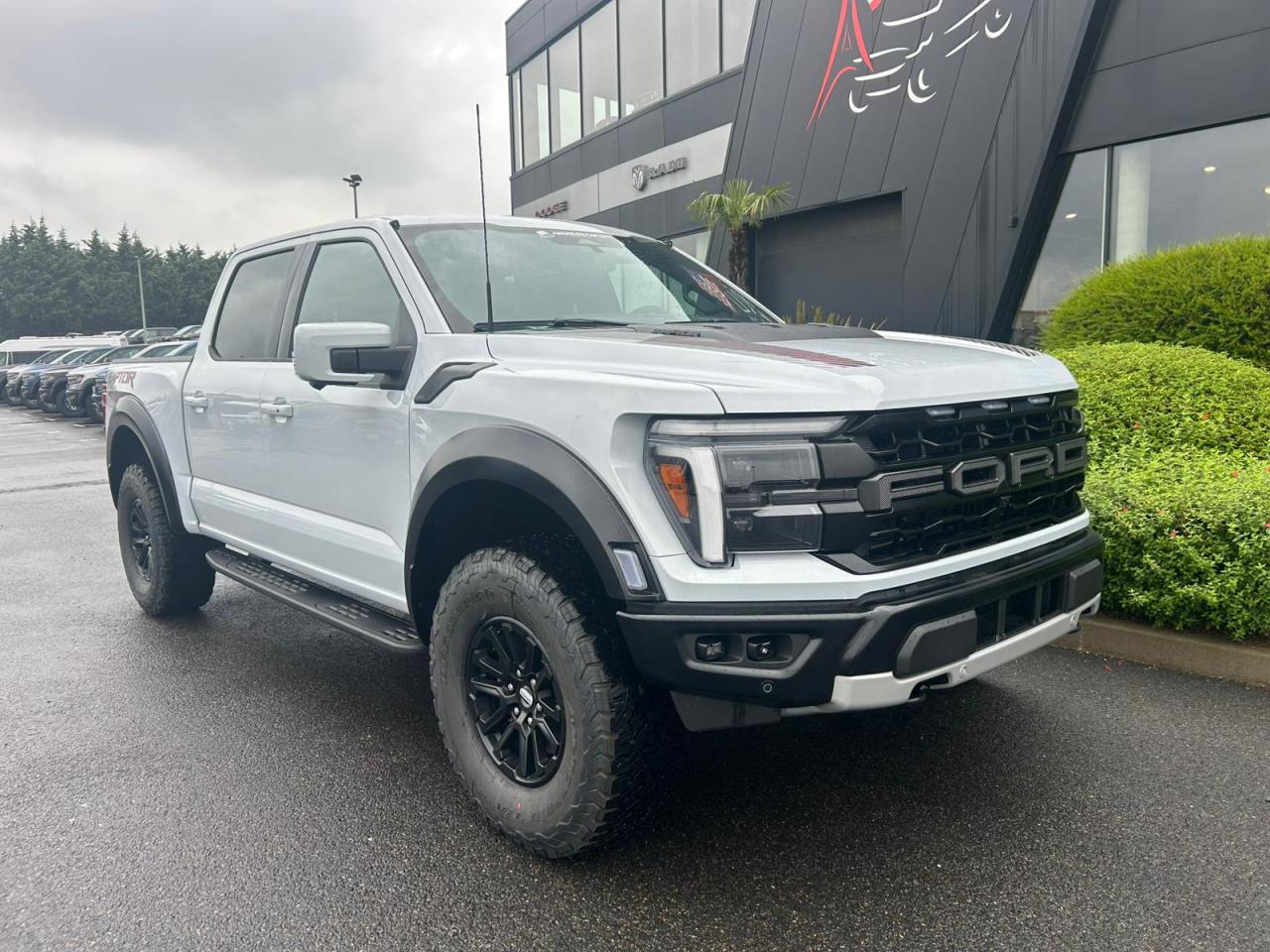 FORD F150 RAPTOR
