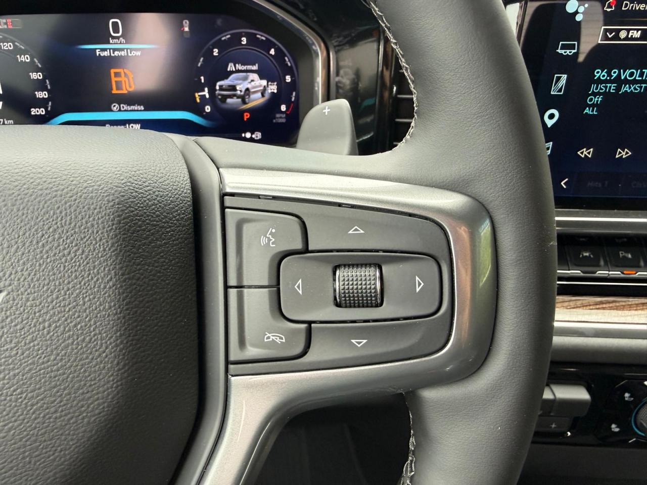 CHEVROLET SILVERADO Crewcab LT Trail Boss V8 6.2l