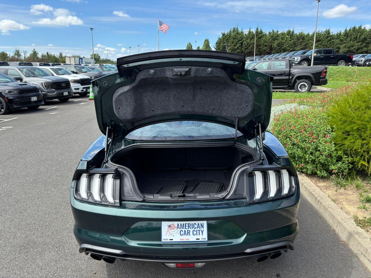 FORD MUSTANG BULLITT V8 5.0L - MAGNERIDE