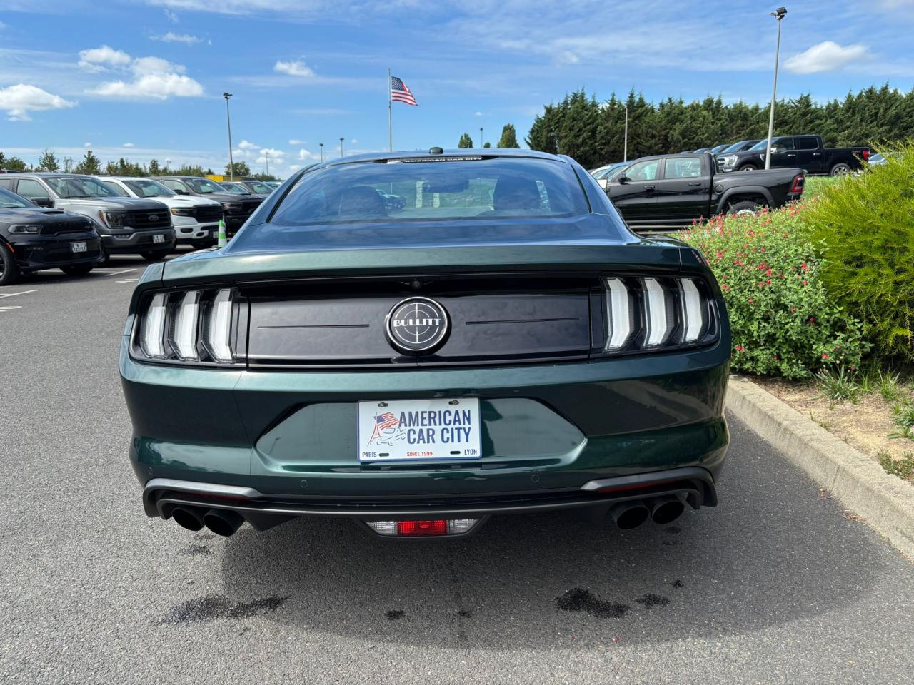 FORD MUSTANG BULLITT V8 5.0L - MAGNERIDE