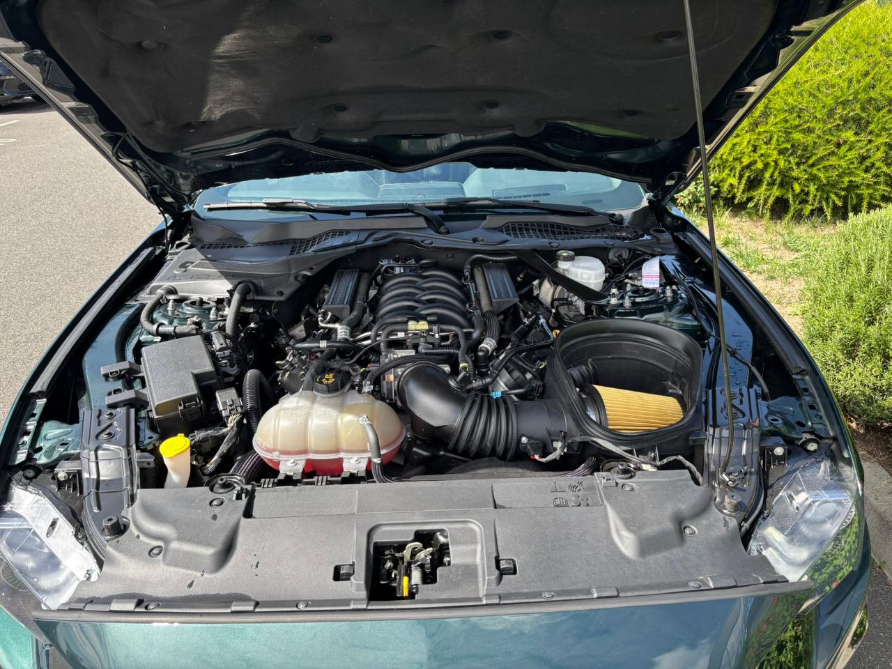 FORD MUSTANG BULLITT V8 5.0L - MAGNERIDE