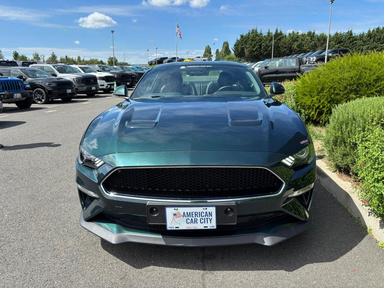 FORD MUSTANG BULLITT V8 5.0L - MAGNERIDE