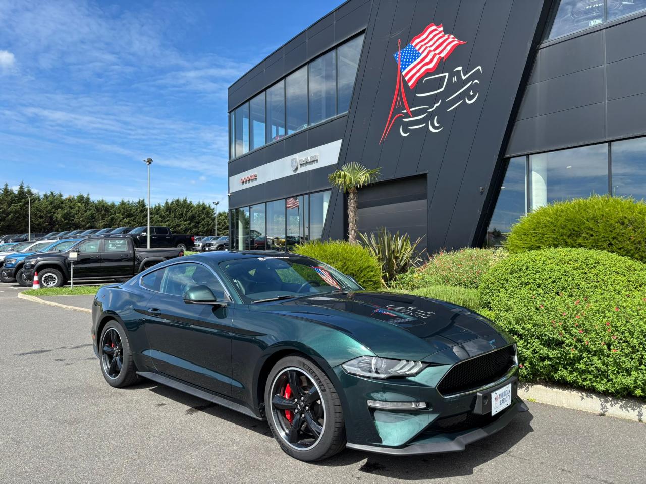 FORD MUSTANG BULLITT V8 5.0L - MAGNERIDE