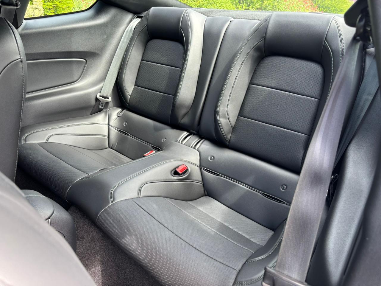 FORD MUSTANG BULLITT V8 5.0L - MAGNERIDE