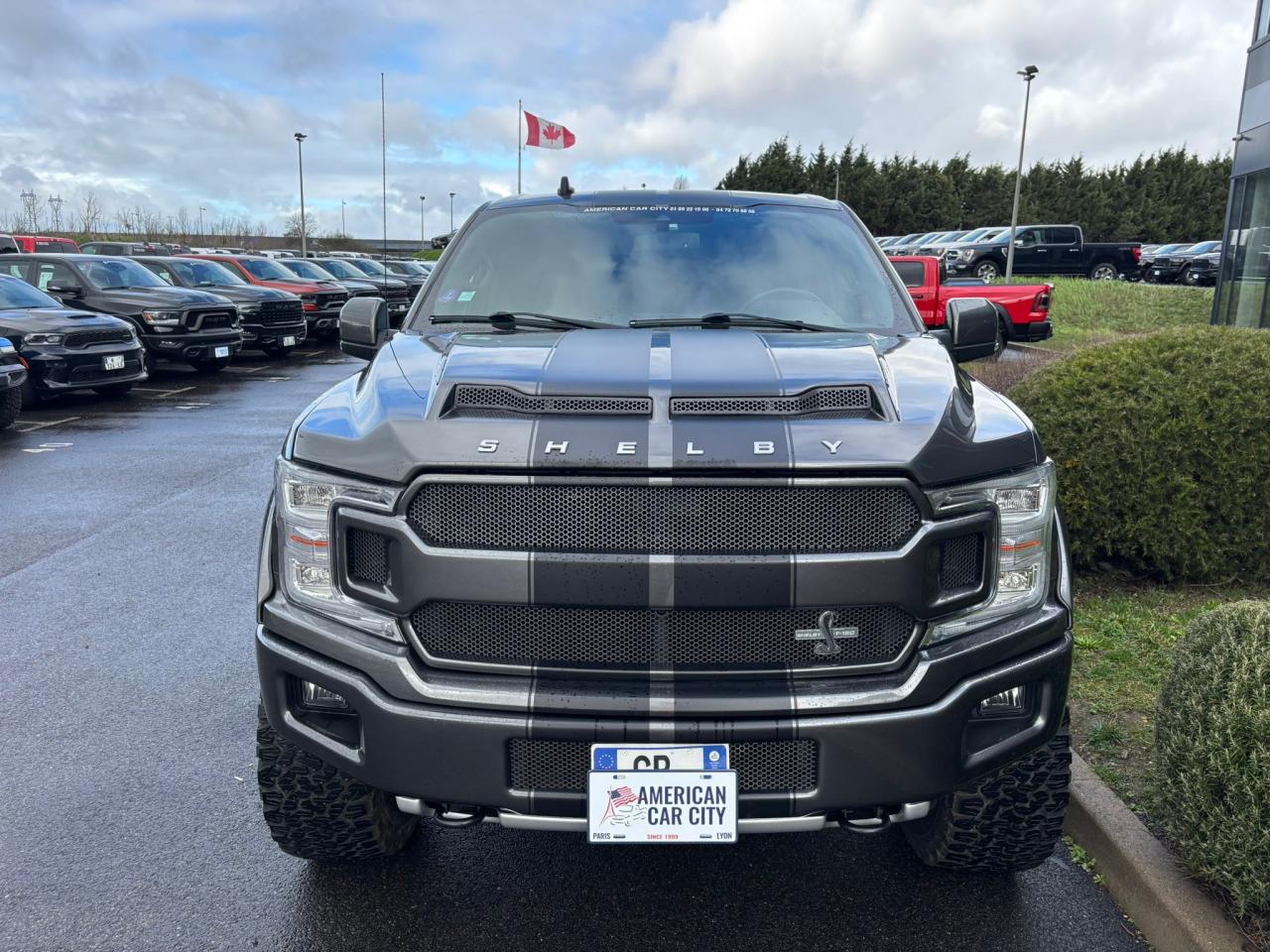 FORD F150 SHELBY OFFROAD V8 5.0L SUPERCHARGED