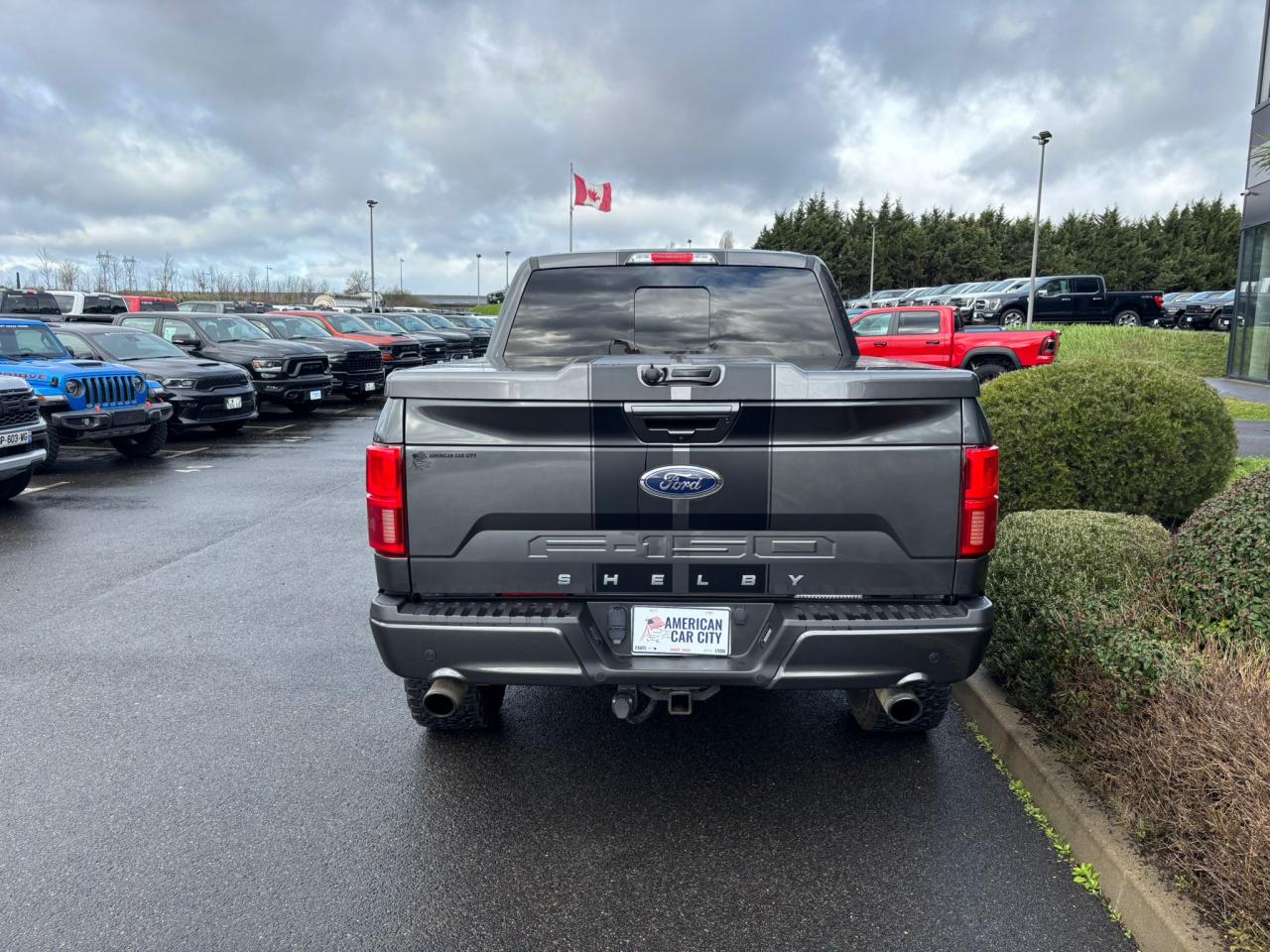 FORD F150 SHELBY OFFROAD V8 5.0L SUPERCHARGED