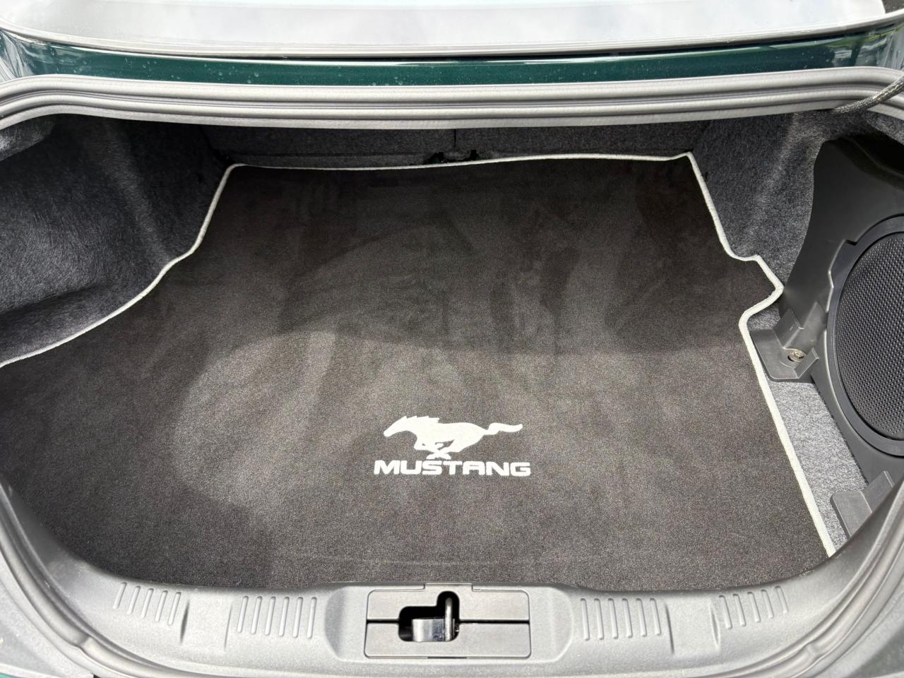 FORD MUSTANG BULLITT V8 5.0L - RECARO + MAGNERIDE - Pas de malus