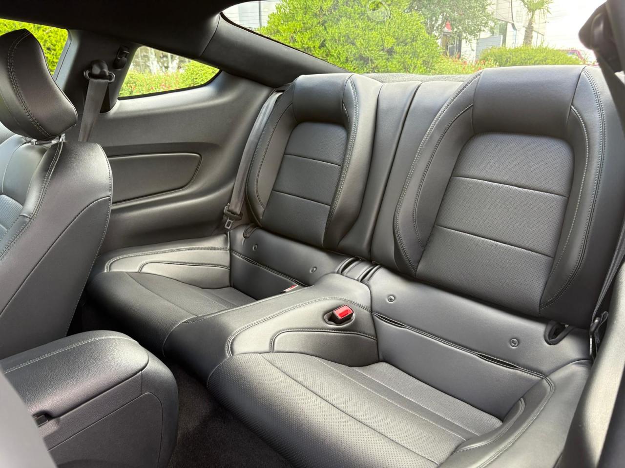 FORD MUSTANG BULLITT V8 5.0L - MAGNERIDE