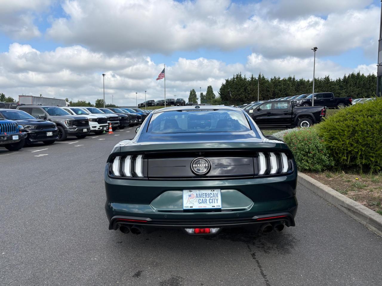 FORD MUSTANG BULLITT V8 5.0L - MAGNERIDE