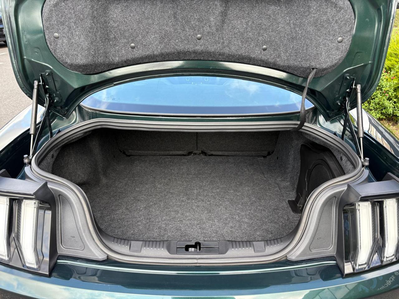 FORD MUSTANG BULLITT V8 5.0L - MAGNERIDE