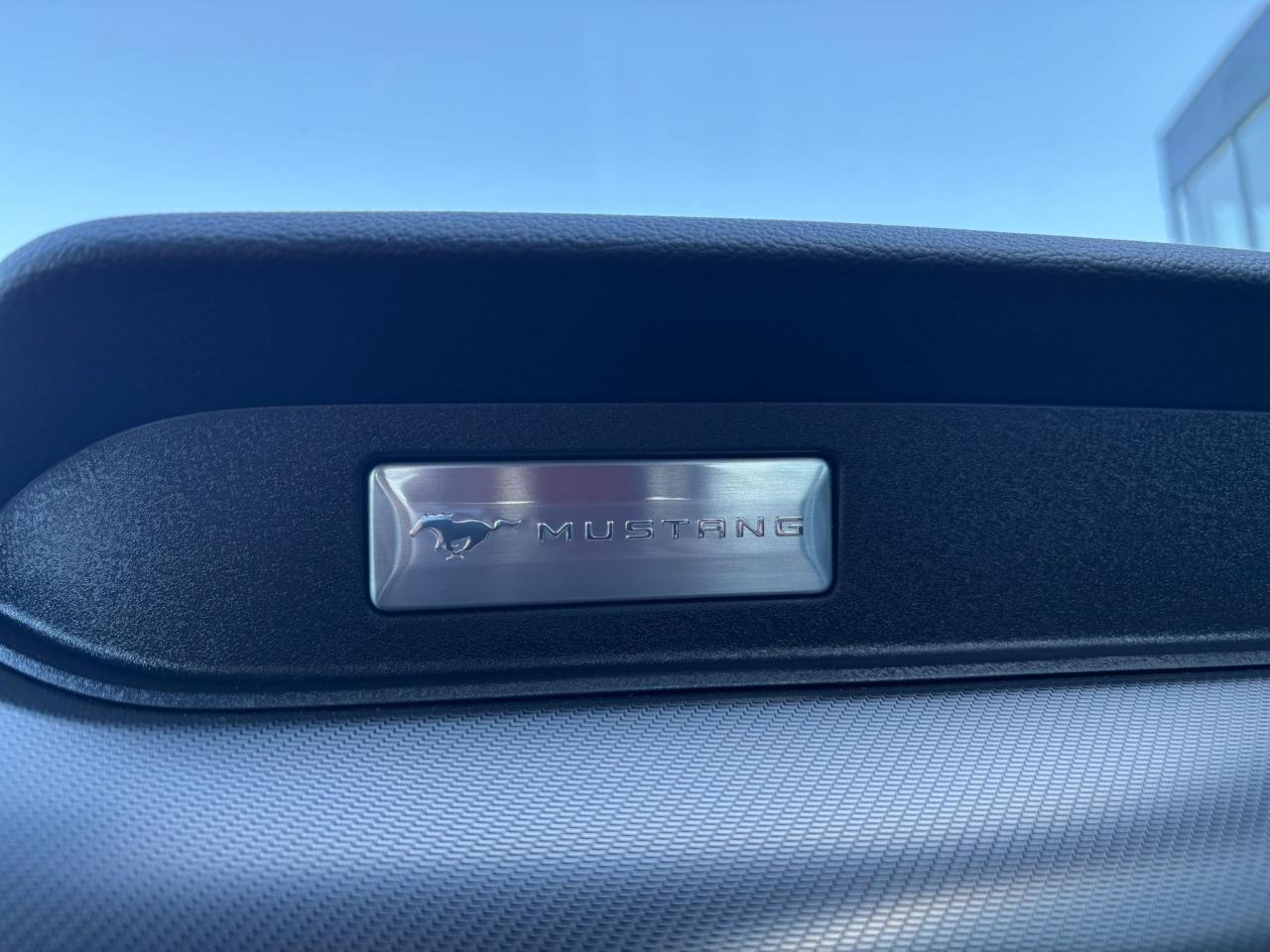 FORD MUSTANG GT FASTBACK V8 5.0L BVA MAGNERIDE