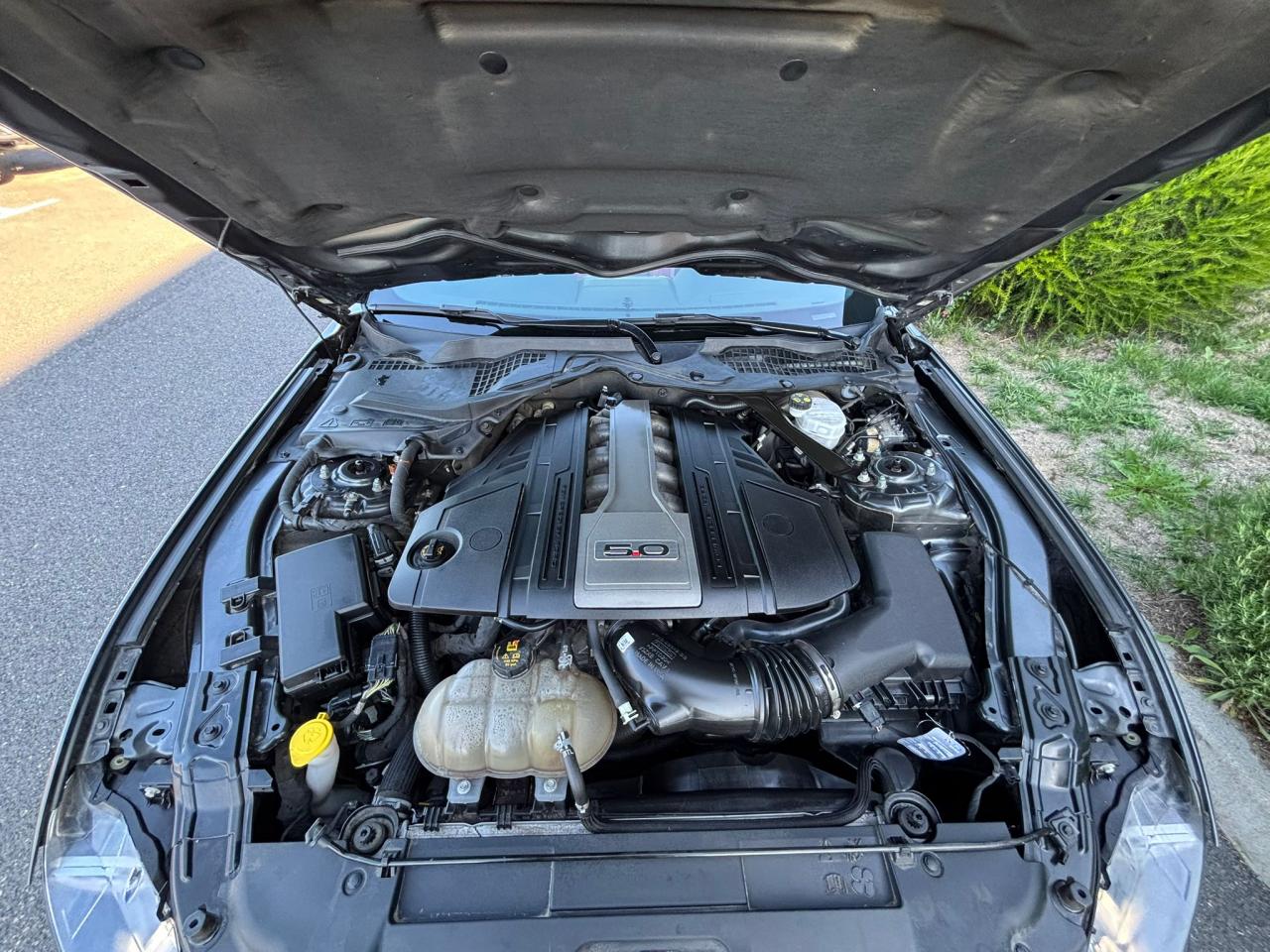 FORD MUSTANG GT FASTBACK V8 5.0L BVA MAGNERIDE