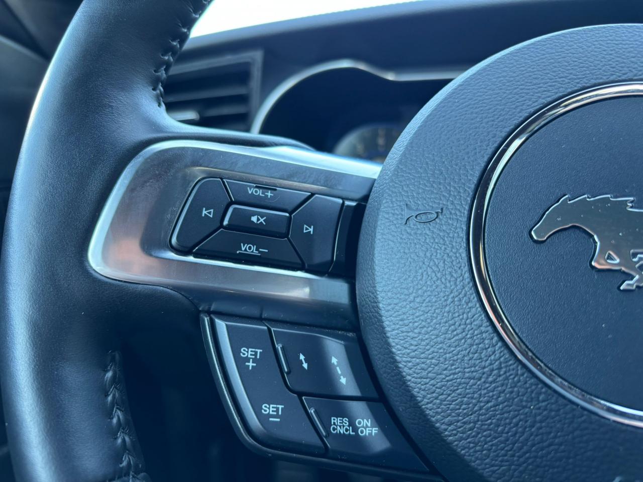 FORD MUSTANG Fastback GT 5.0L V8 MAGNERIDE