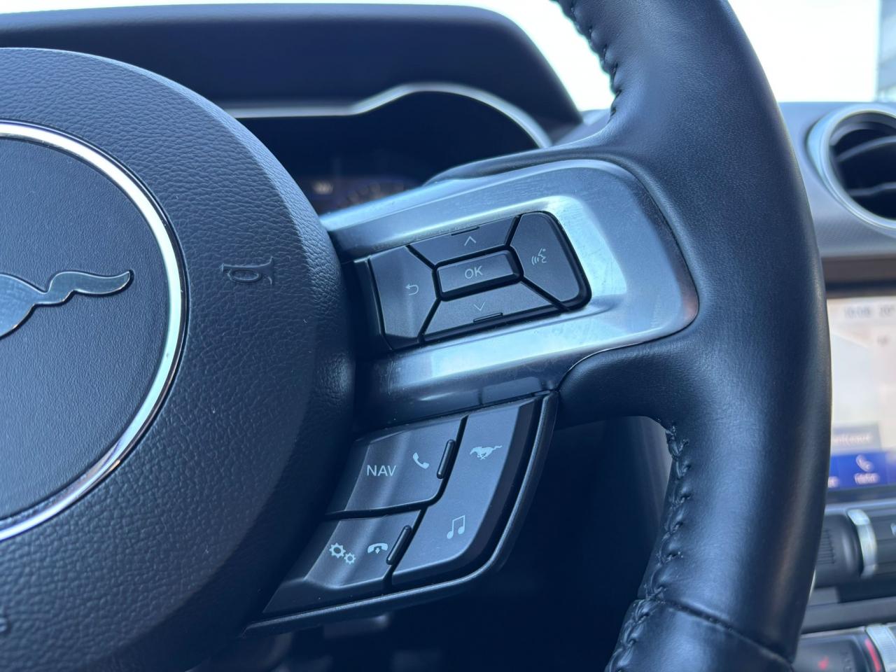 FORD MUSTANG Fastback GT 5.0L V8 MAGNERIDE