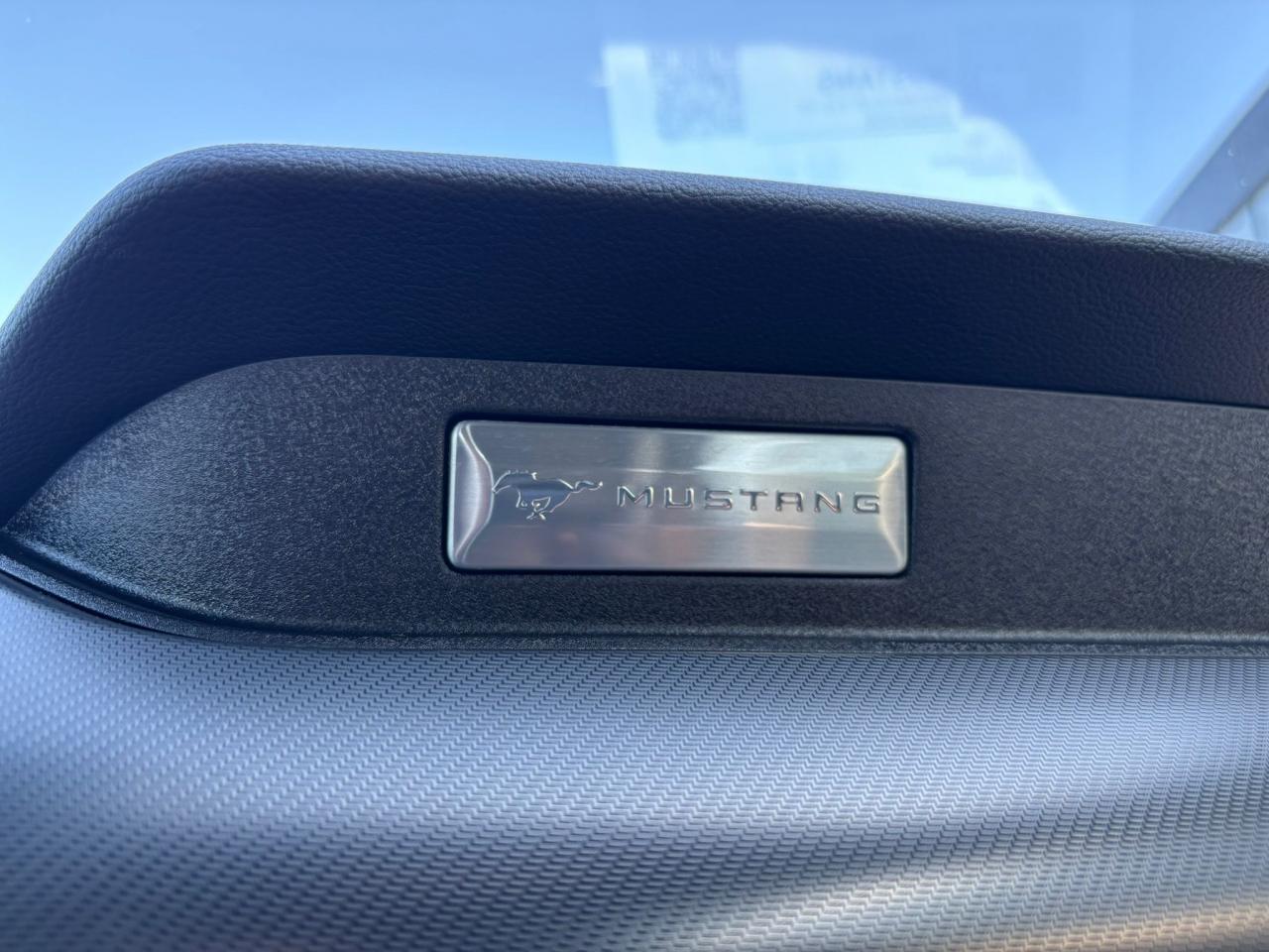 FORD MUSTANG Fastback GT 5.0L V8 MAGNERIDE