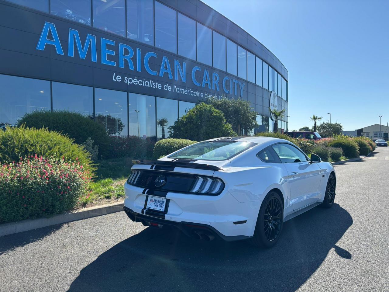 FORD MUSTANG Fastback GT 5.0L V8 MAGNERIDE