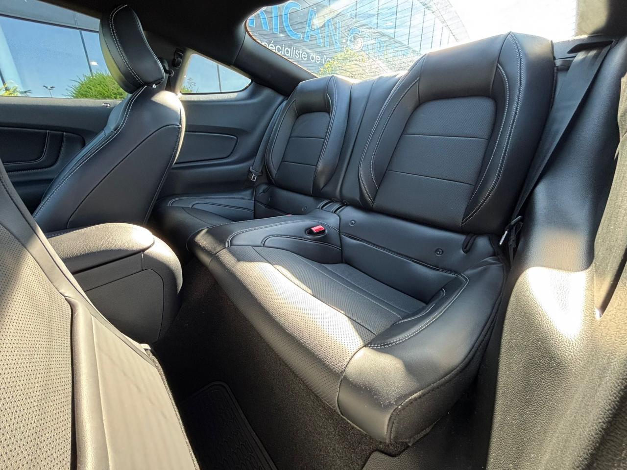 FORD MUSTANG Fastback GT 5.0L V8 MAGNERIDE