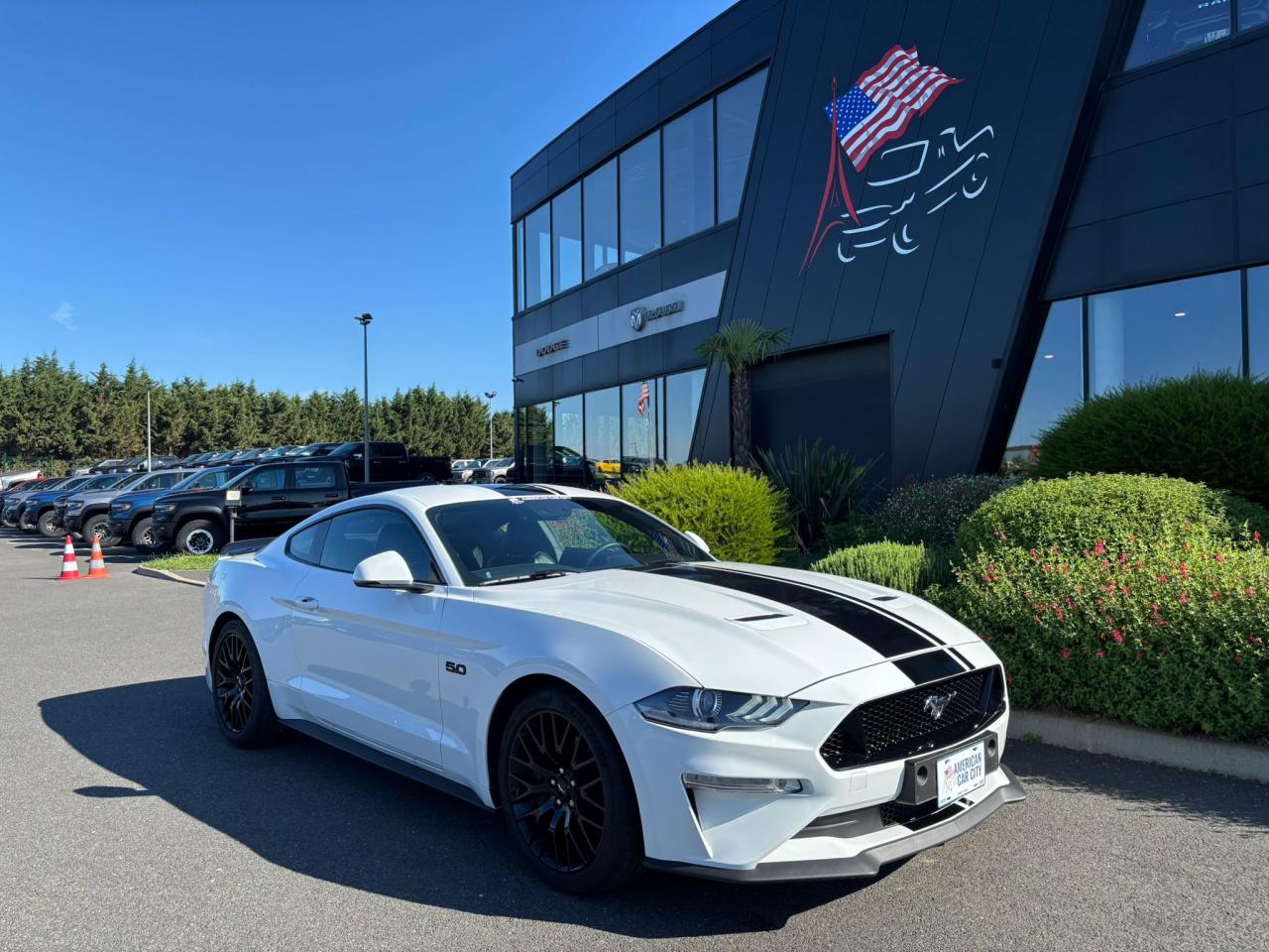 FORD MUSTANG Fastback GT 5.0L V8 MAGNERIDE