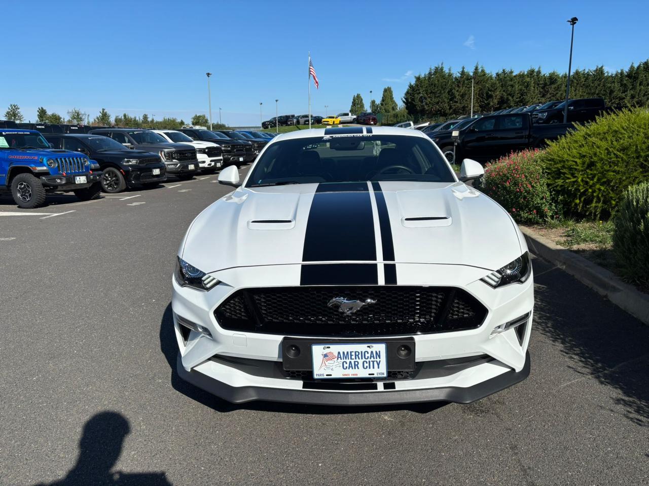 FORD MUSTANG Fastback GT 5.0L V8 MAGNERIDE