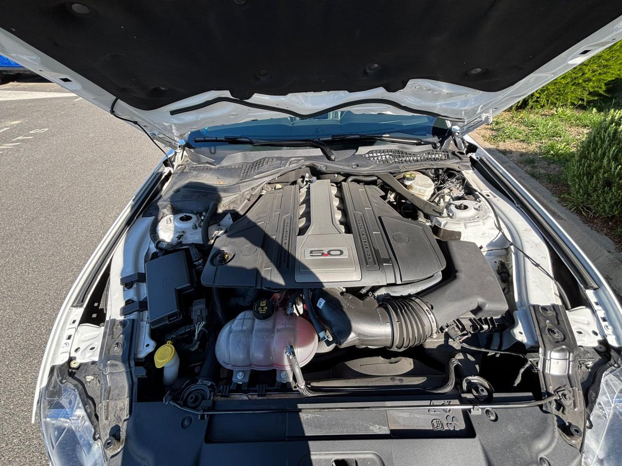 FORD MUSTANG Fastback GT 5.0L V8 MAGNERIDE
