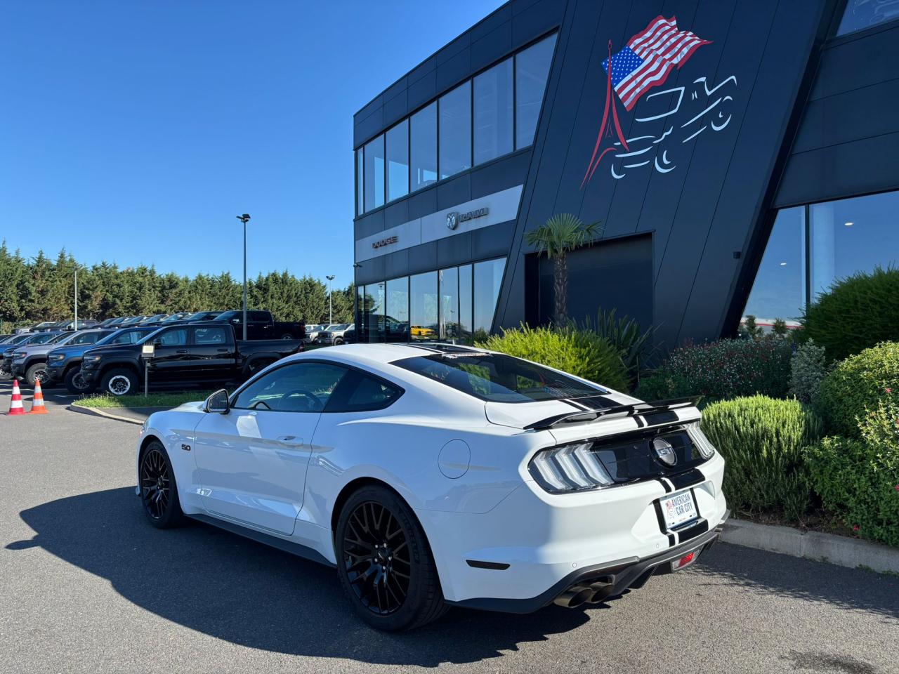 FORD MUSTANG Fastback GT 5.0L V8 MAGNERIDE