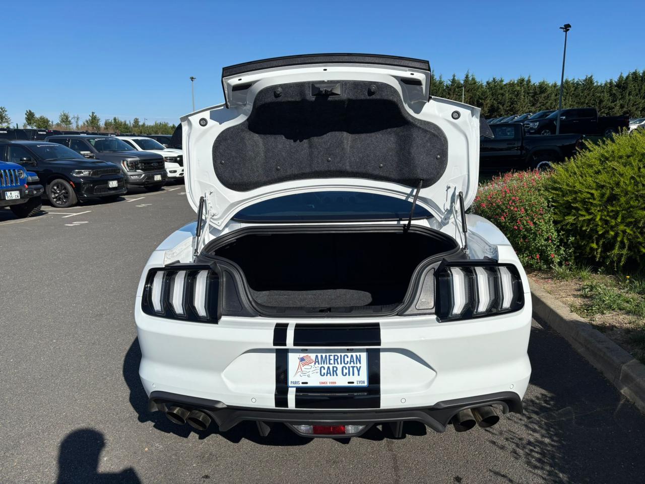 FORD MUSTANG Fastback GT 5.0L V8 MAGNERIDE