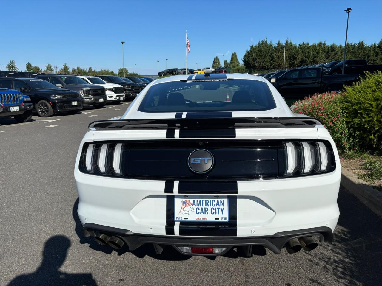 FORD MUSTANG Fastback GT 5.0L V8 MAGNERIDE