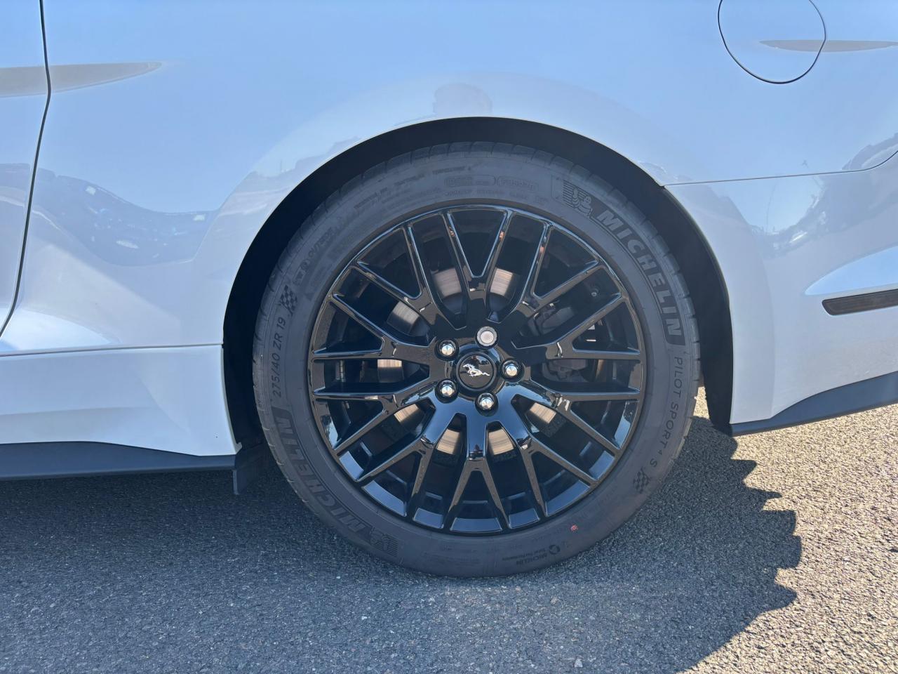 FORD MUSTANG Fastback GT 5.0L V8 MAGNERIDE