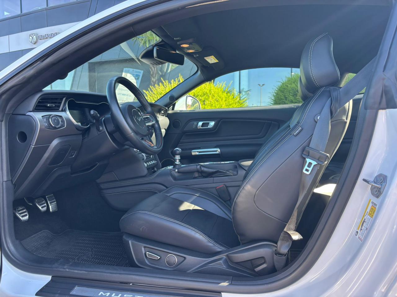 FORD MUSTANG Fastback GT 5.0L V8 MAGNERIDE