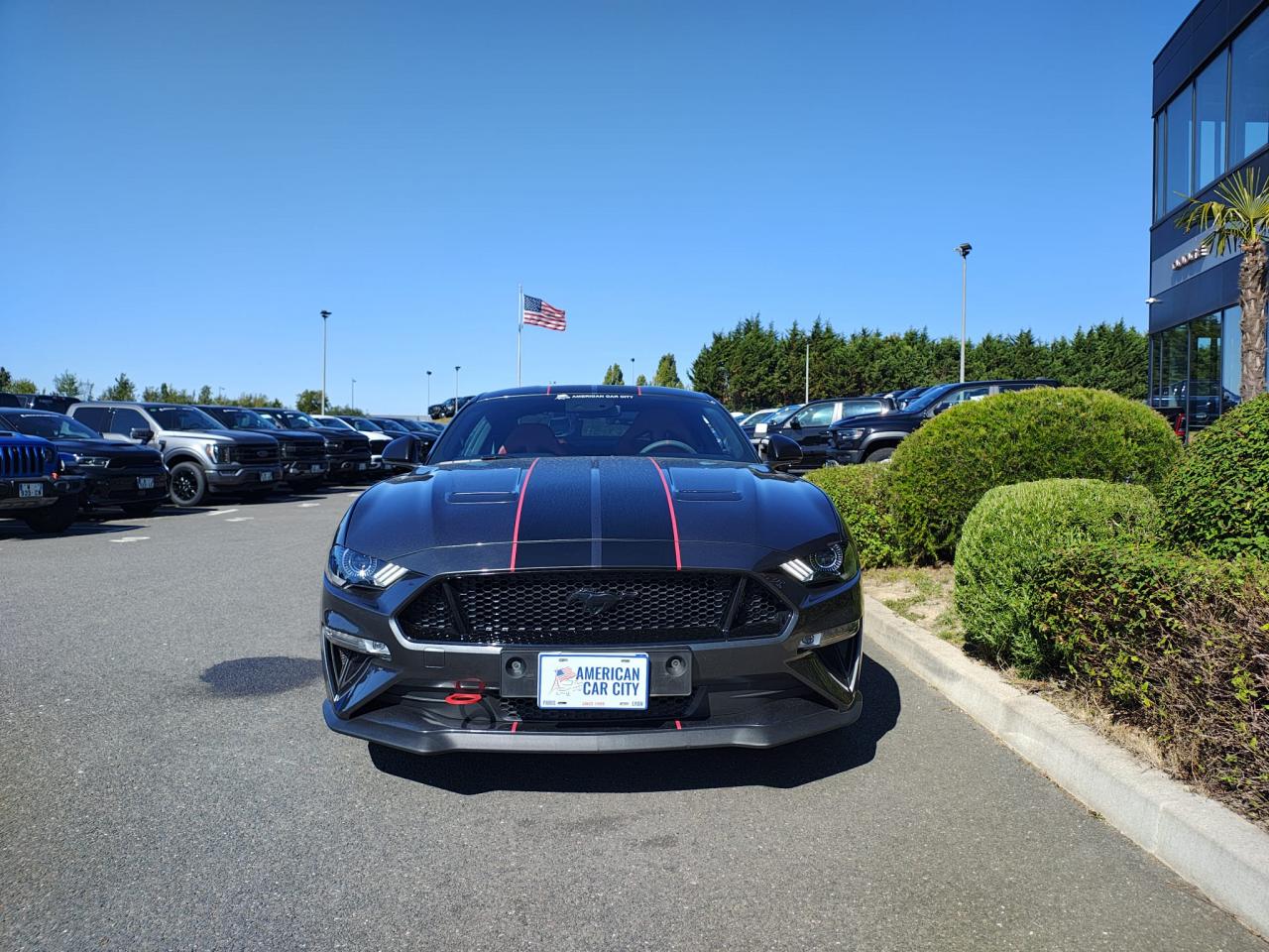 FORD MUSTANG GT FASTBACK V8 5.0L
