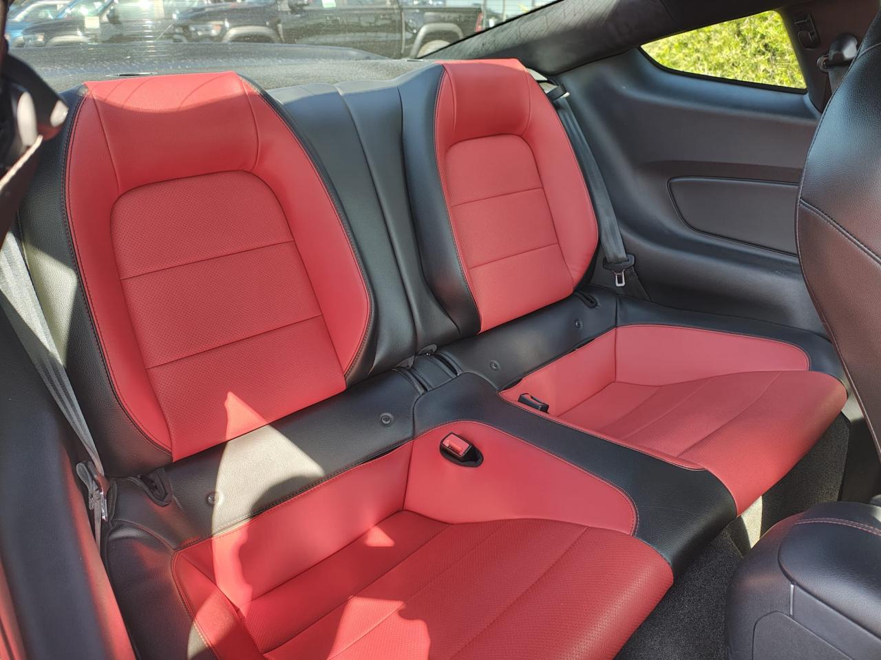 FORD MUSTANG GT FASTBACK V8 5.0L