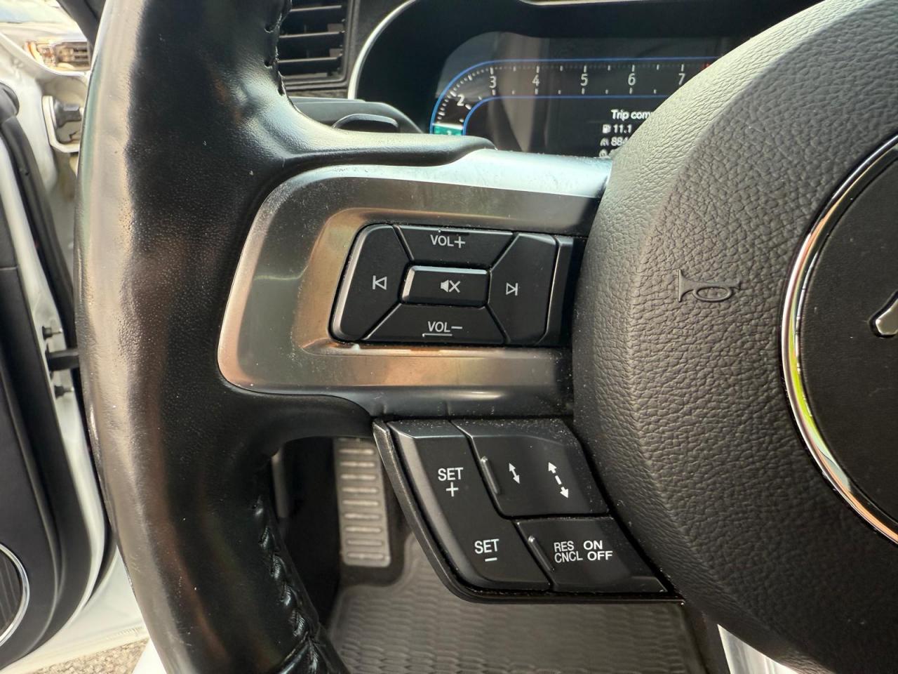 FORD MUSTANG Fastback GT 5.0L V8 MAGNERIDE