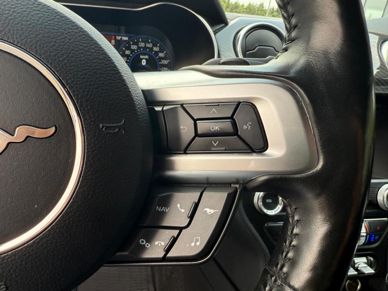 FORD MUSTANG Fastback GT 5.0L V8 MAGNERIDE