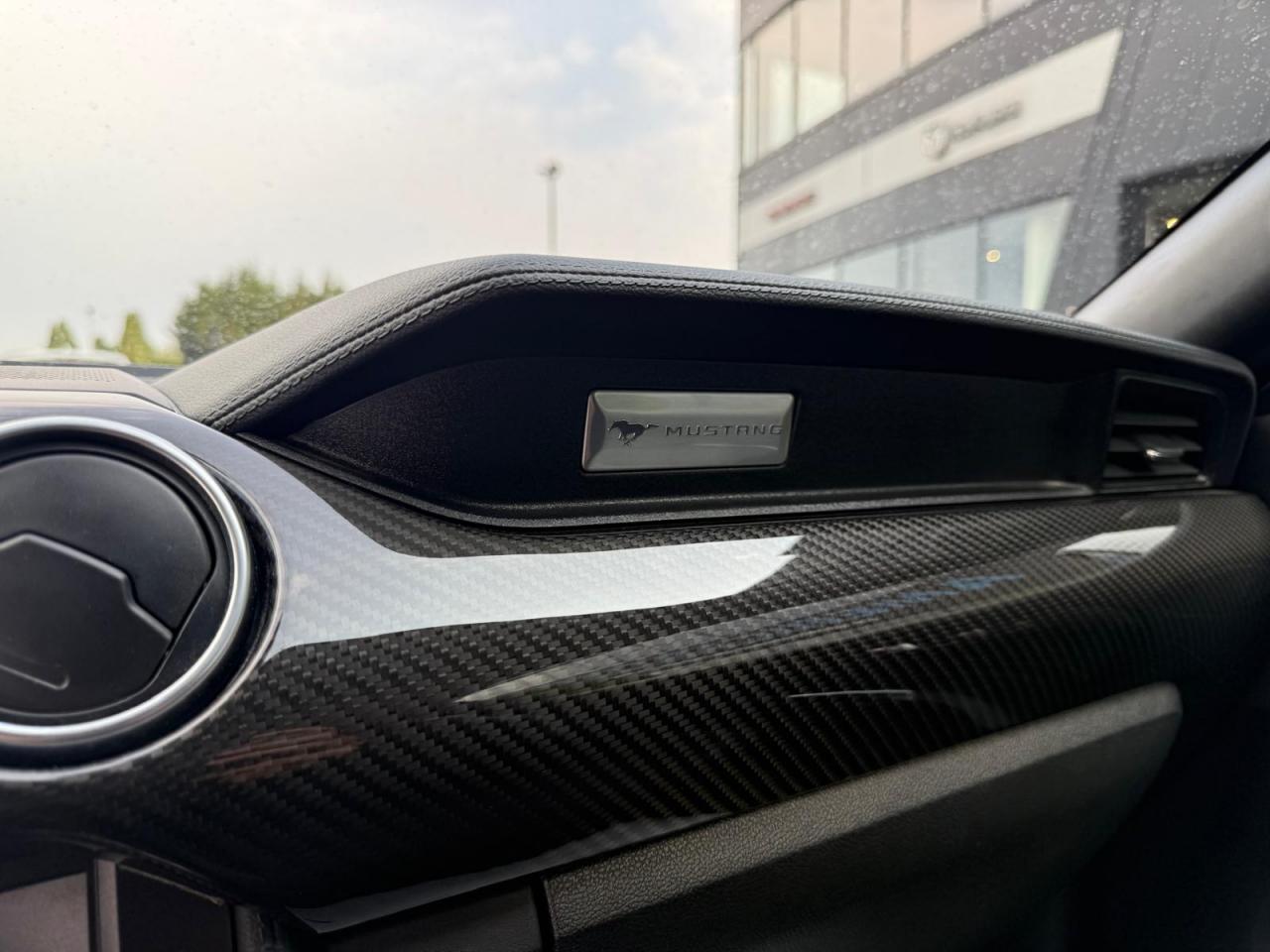 FORD MUSTANG Fastback GT 5.0L V8 MAGNERIDE