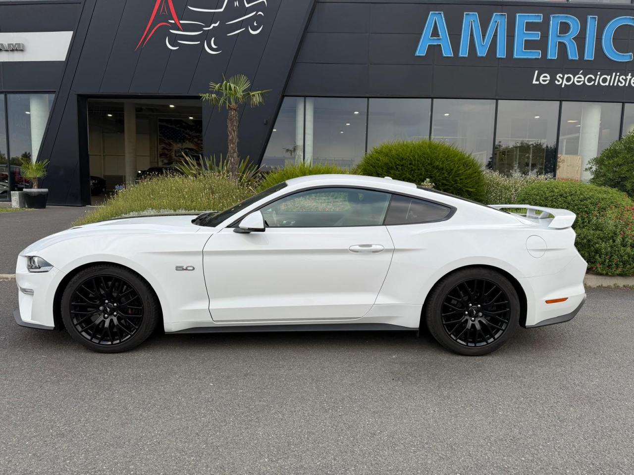 FORD MUSTANG Fastback GT 5.0L V8 MAGNERIDE