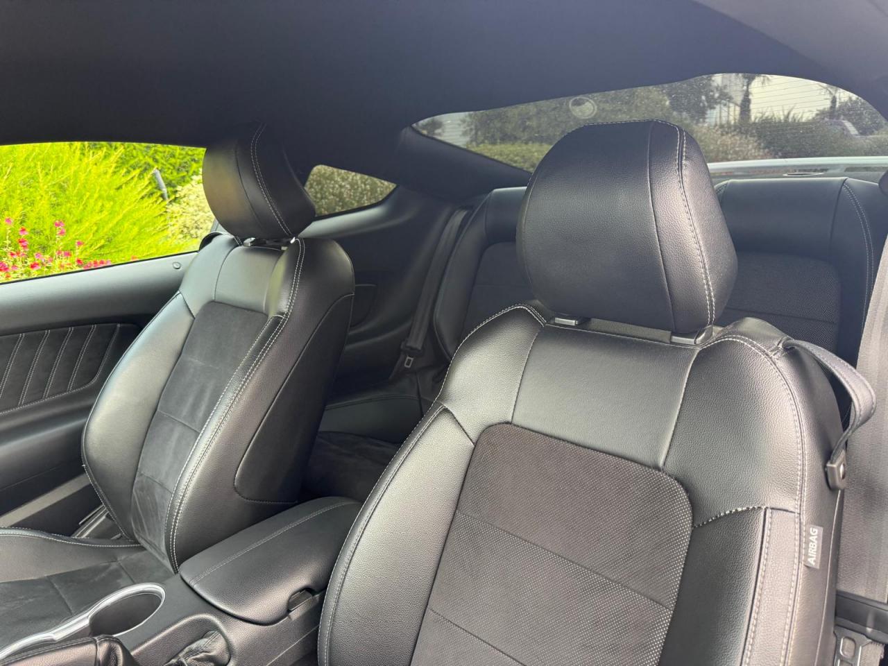 FORD MUSTANG Fastback GT 5.0L V8 MAGNERIDE