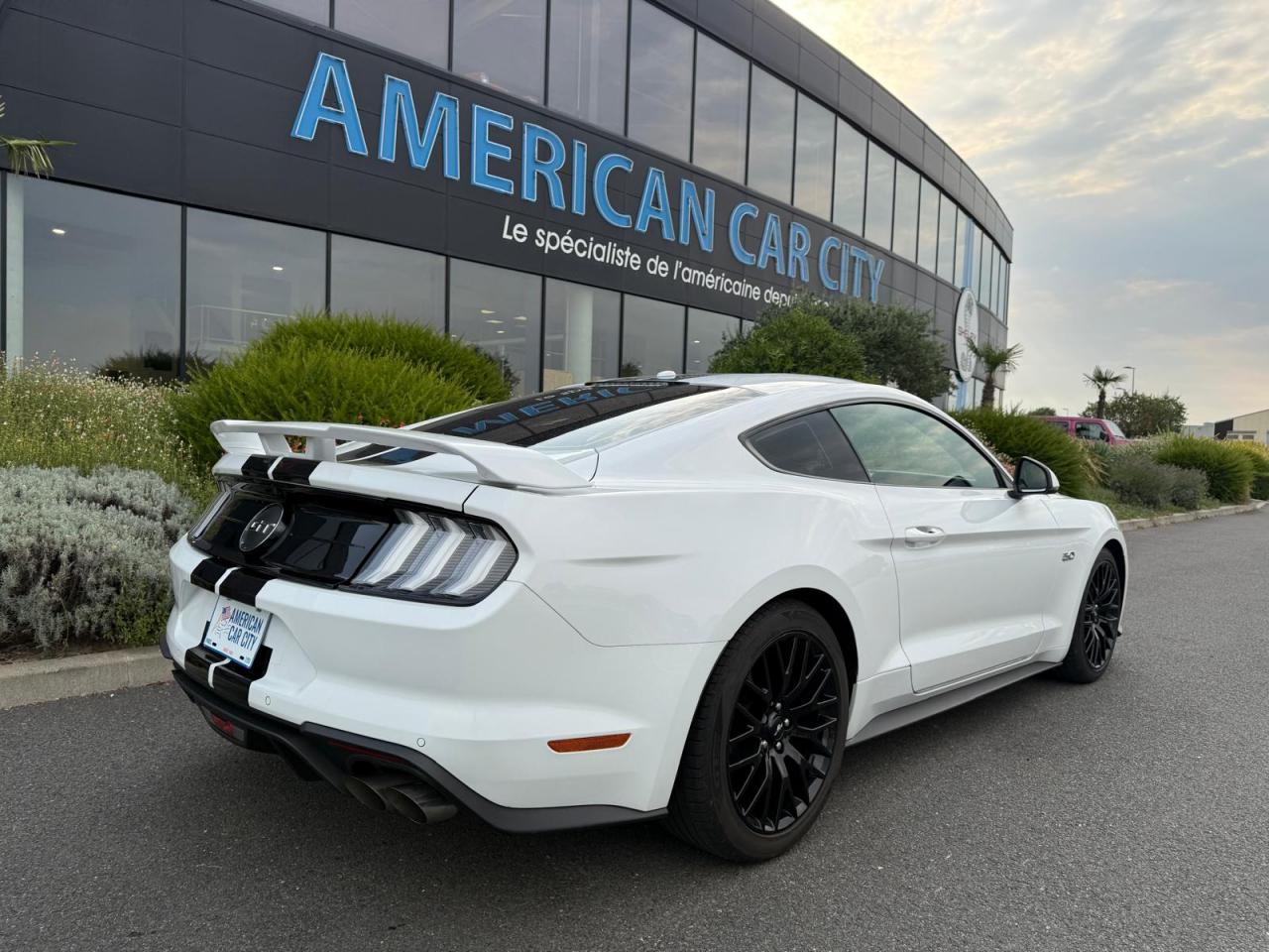 FORD MUSTANG Fastback GT 5.0L V8 MAGNERIDE