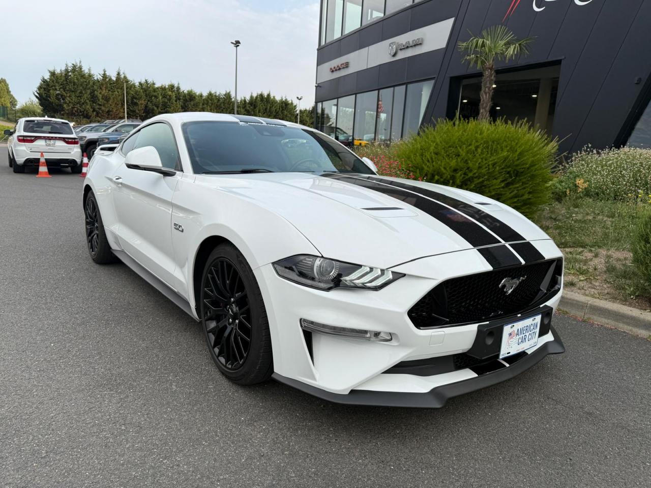 FORD MUSTANG Fastback GT 5.0L V8 MAGNERIDE