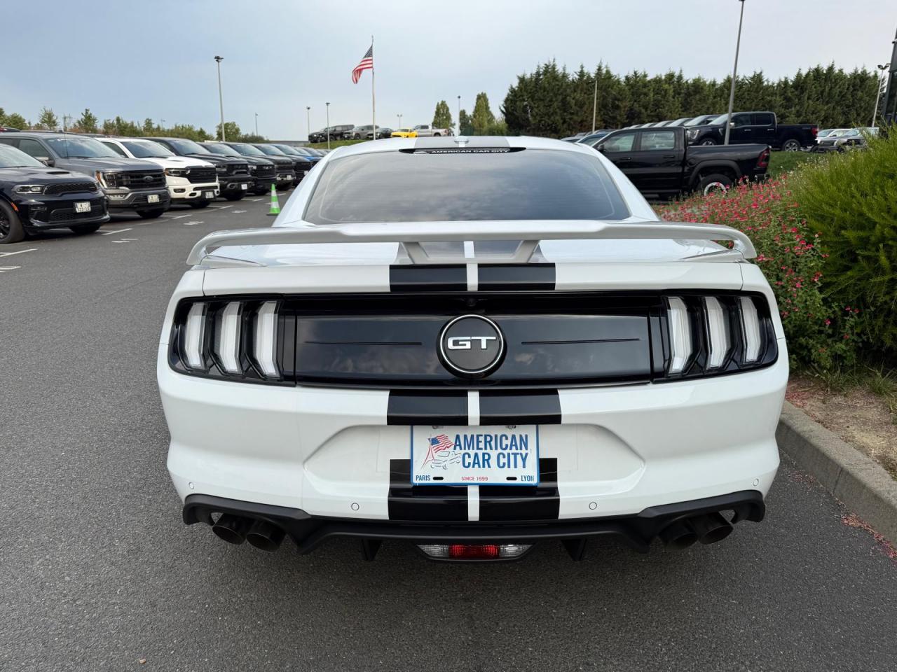 FORD MUSTANG Fastback GT 5.0L V8 MAGNERIDE