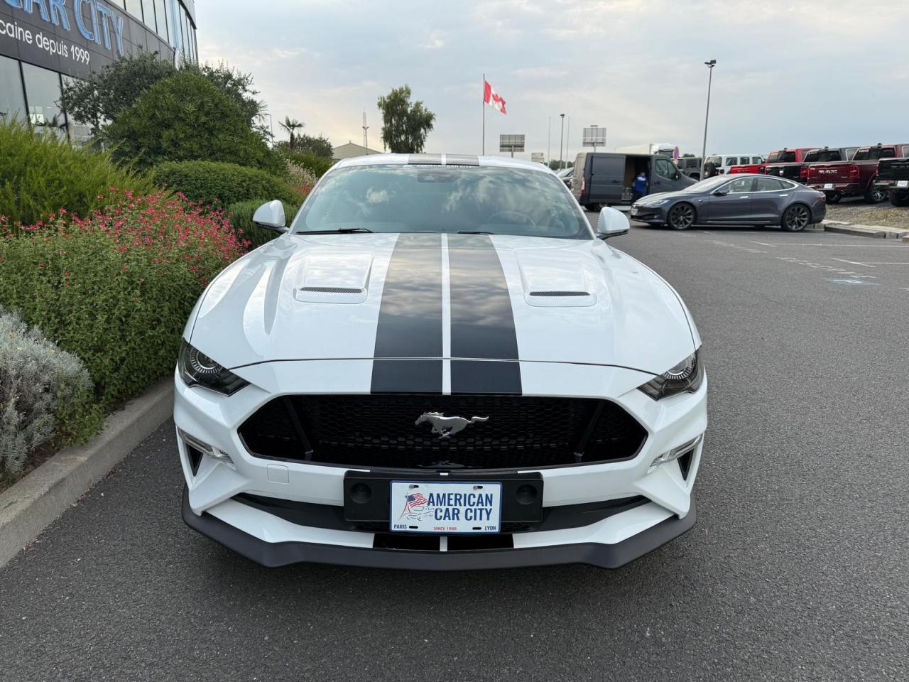FORD MUSTANG Fastback GT 5.0L V8 MAGNERIDE