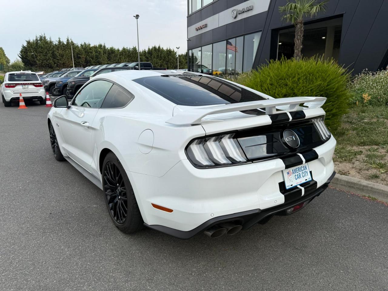 FORD MUSTANG Fastback GT 5.0L V8 MAGNERIDE