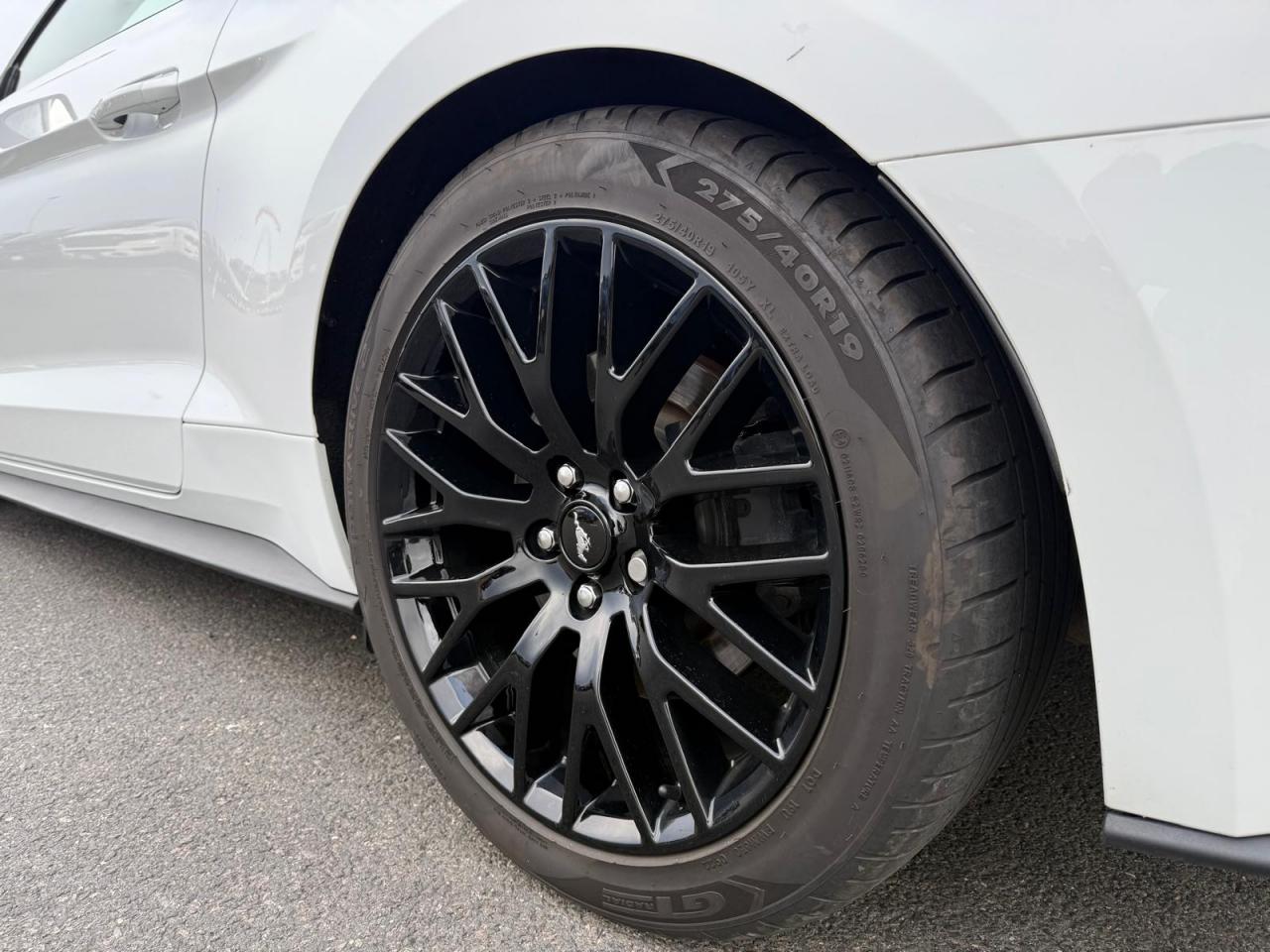 FORD MUSTANG Fastback GT 5.0L V8 MAGNERIDE