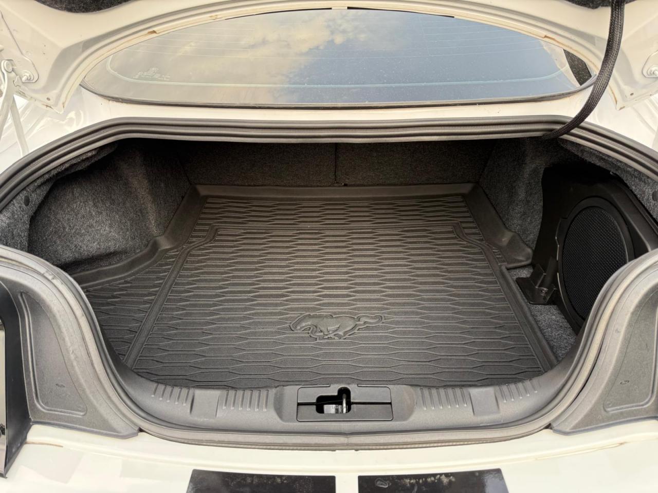 FORD MUSTANG Fastback GT 5.0L V8 MAGNERIDE